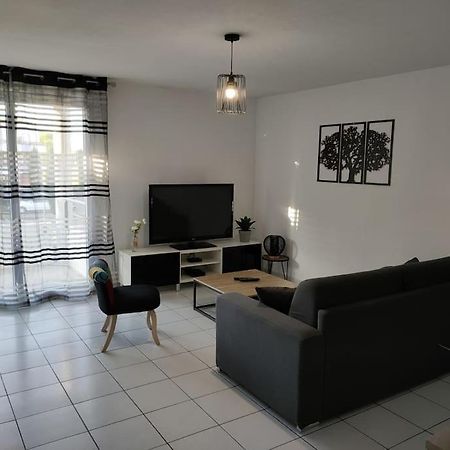 Spacieux Et Joli Appartement De 2 A 4 Personnes • Parking • Wifi Fenouillet  Exterior foto