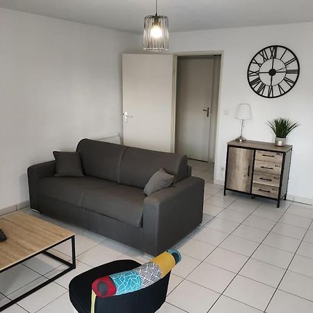 Spacieux Et Joli Appartement De 2 A 4 Personnes • Parking • Wifi Fenouillet  Exterior foto