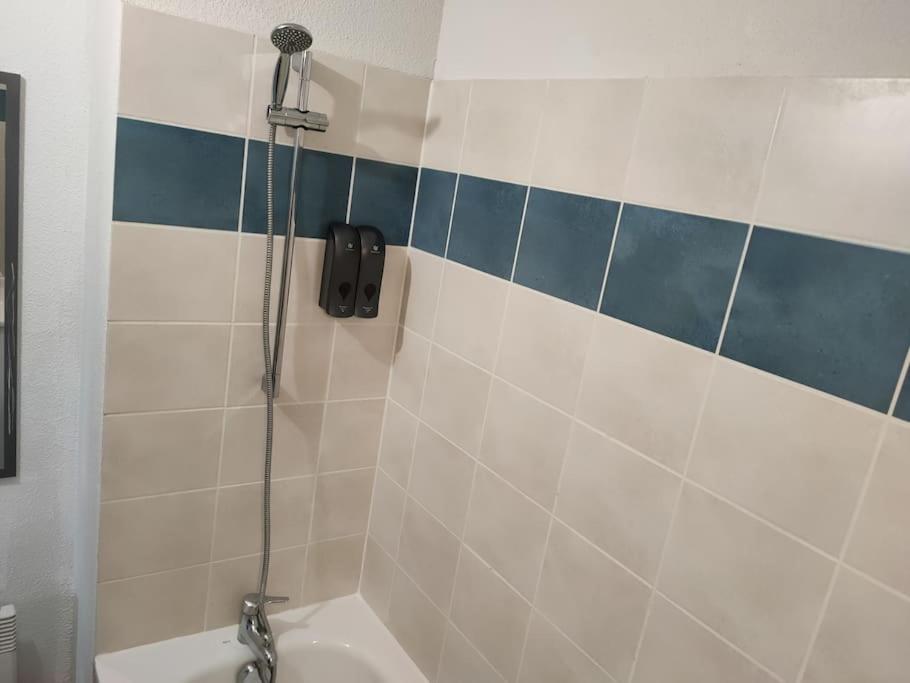 Spacieux Et Joli Appartement De 2 A 4 Personnes • Parking • Wifi Fenouillet  Exterior foto