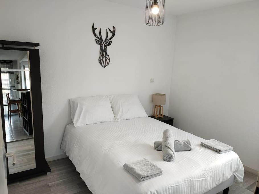 Spacieux Et Joli Appartement De 2 A 4 Personnes • Parking • Wifi Fenouillet  Exterior foto