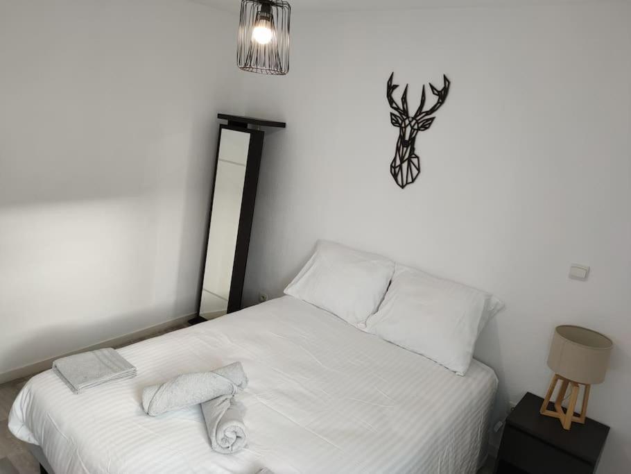Spacieux Et Joli Appartement De 2 A 4 Personnes • Parking • Wifi Fenouillet  Exterior foto